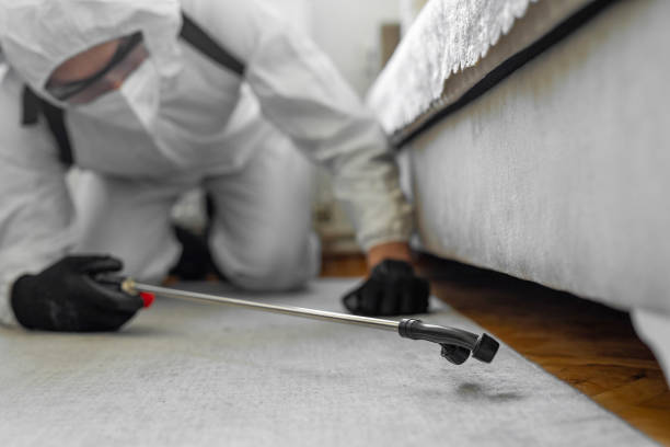 Professional Termite Control technician working in Suwanee, GA