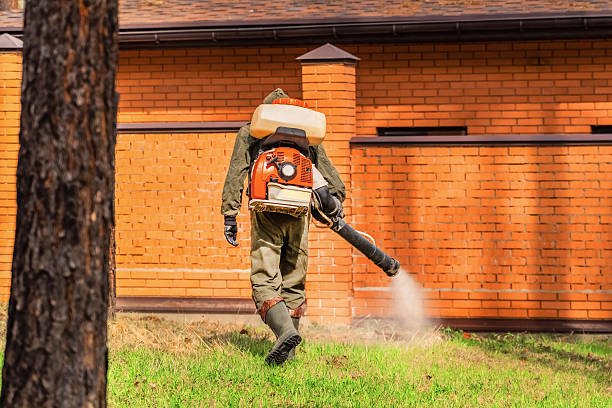 Trusted Rodent Control service in Suwanee, GA - Nex Pest Control